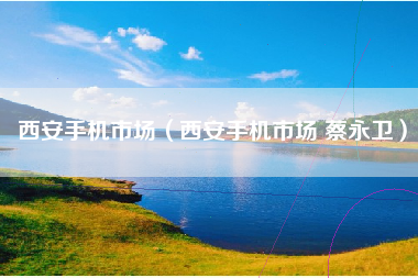 西安手机市场(西安手机市场 蔡永卫)