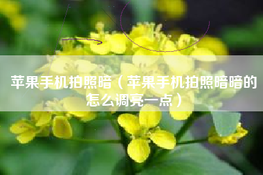 苹果手机拍照暗(苹果手机拍照暗暗的怎么调亮一点)