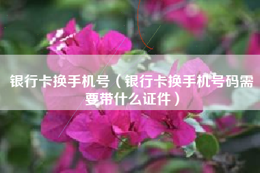 银行卡换手机号(银行卡换手机号码需要带什么证件)