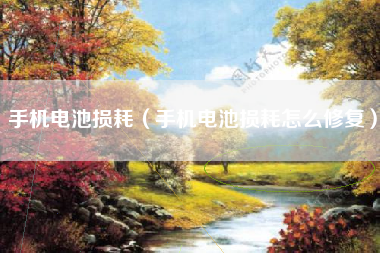 手机电池损耗(手机电池损耗怎么修复)