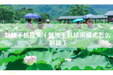 魅族手机挂失(魅族手机挂失模式怎么解除)