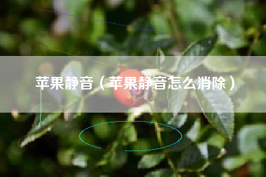 苹果静音(苹果静音怎么消除)