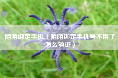 陌陌绑定手机(陌陌绑定手机号不用了怎么验证)
