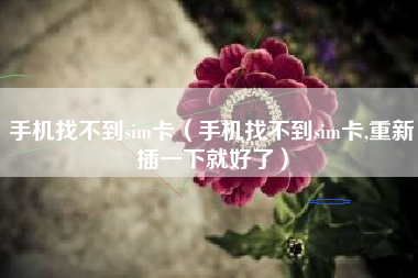 手机找不到sim卡(手机找不到sim卡,重新插一下就好了)