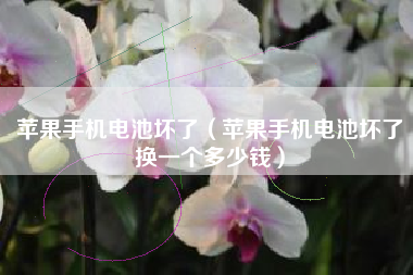 苹果手机电池坏了(苹果手机电池坏了换一个多少钱)