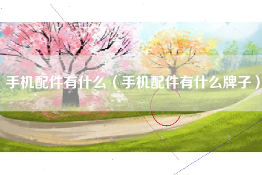 手机配件有什么(手机配件有什么牌子)