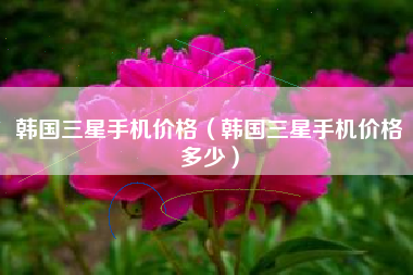 韩国三星手机价格(韩国三星手机价格多少)