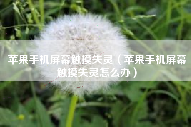 苹果手机屏幕触摸失灵(苹果手机屏幕触摸失灵怎么办)