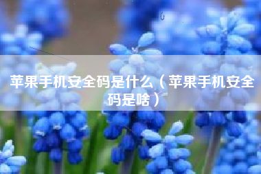 苹果手机安全码是什么(苹果手机安全码是啥)