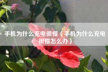 手机为什么充电很慢(手机为什么充电很慢怎么办)