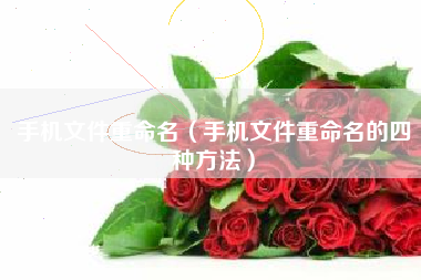 手机文件重命名(手机文件重命名的四种方法)