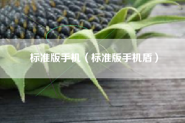 标准版手机(标准版手机盾)