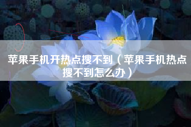苹果手机开热点搜不到(苹果手机热点搜不到怎么办)