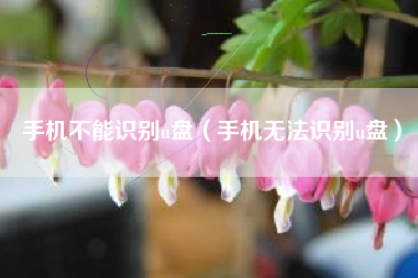 手机不能识别u盘(手机无法识别u盘)