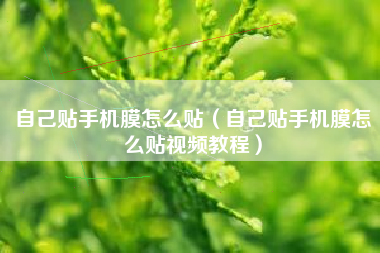 自己贴手机膜怎么贴(自己贴手机膜怎么贴视频教程)