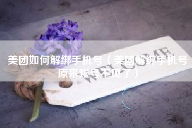 美团如何解绑手机号(美团解绑手机号原来账号不见了)