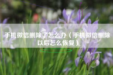手机微信删除了怎么办(手机微信删除以后怎么恢复)