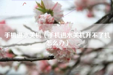 手机进水关机(手机进水关机开不了机怎么办)