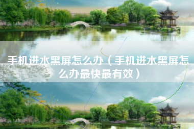 手机进水黑屏怎么办(手机进水黑屏怎么办最快最有效)