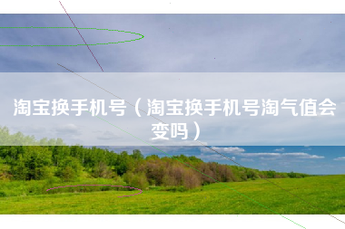 淘宝换手机号(淘宝换手机号淘气值会变吗)