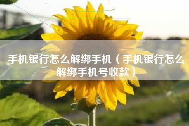 手机银行怎么解绑手机(手机银行怎么解绑手机号收款)