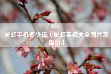 长虹手机多少钱(长虹手机大全图片及报价)