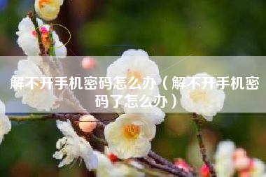 解不开手机密码怎么办(解不开手机密码了怎么办)