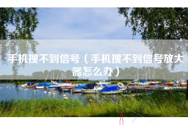 手机搜不到信号(手机搜不到信号放大器怎么办)