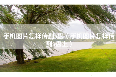 手机图片怎样传到u盘(手机图片怎样传到u盘上)