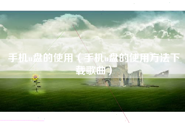 手机u盘的使用(手机u盘的使用方法下载歌曲)