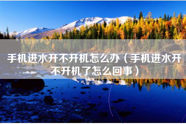 手机进水开不开机怎么办(手机进水开不开机了怎么回事)