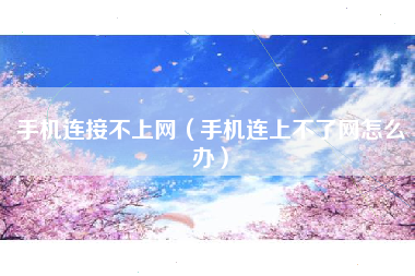 手机连接不上网(手机连上不了网怎么办)