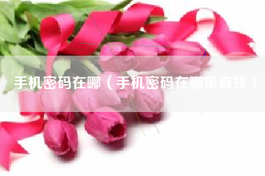 手机密码在哪(手机密码在哪里查找)