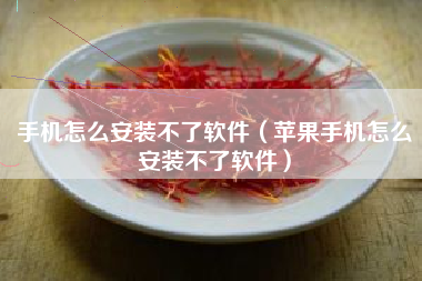 手机怎么安装不了软件(苹果手机怎么安装不了软件)