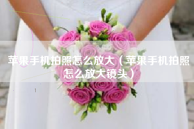 苹果手机拍照怎么放大(苹果手机拍照怎么放大镜头)