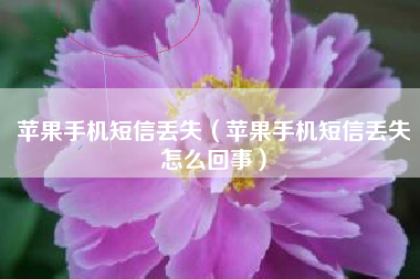 苹果手机短信丢失(苹果手机短信丢失怎么回事)