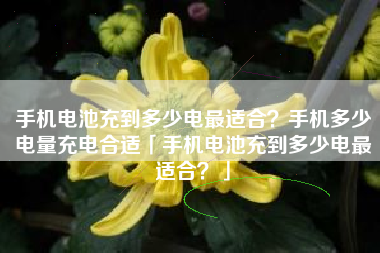 手机电池充到多少电最适合?手机多少电量充电合适「手机电池充到多少电最适合?」