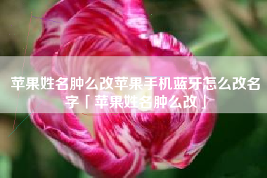 苹果姓名肿么改苹果手机蓝牙怎么改名字「苹果姓名肿么改」