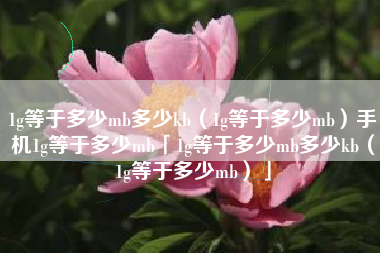 1g等于多少mb多少kb(1g等于多少mb)手机1g等于多少mb「1g等于多少mb多少kb(1g等于多少mb)」