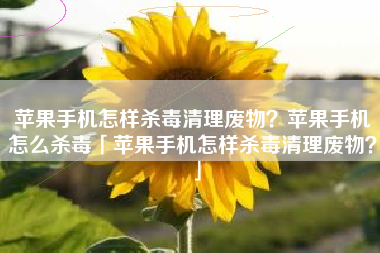 苹果手机怎样杀毒清理废物?苹果手机怎么杀毒「苹果手机怎样杀毒清理废物?」