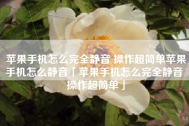 苹果手机怎么完全静音 操作超简单苹果手机怎么静音「苹果手机怎么完全静音 操作超简单」