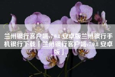 兰州银行客户端v7.0.8 安卓版兰州银行手机银行下载「兰州银行客户端v7.0.8 安卓版」