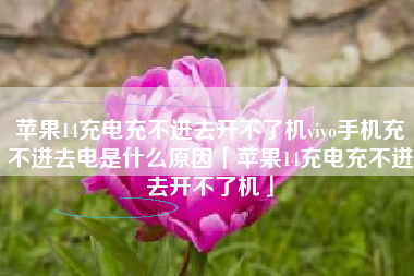 苹果14充电充不进去开不了机vivo手机充不进去电是什么原因「苹果14充电充不进去开不了机」