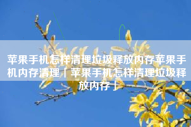 苹果手机怎样清理垃圾释放内存苹果手机内存清理「苹果手机怎样清理垃圾释放内存」