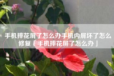 手机摔花屏了怎么办手机内屏坏了怎么修复「手机摔花屏了怎么办」