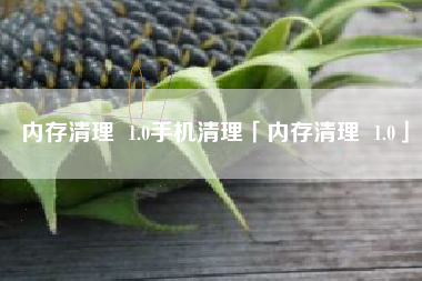 内存清理 1.0手机清理「内存清理 1.0」