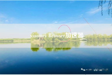 xiaomei Browser加速器